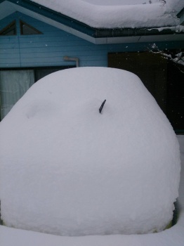 雪の中にbeetleの車が埋まってる